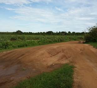 Elefantenreiten Sigiriya