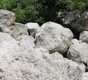 Озеро Курнас 