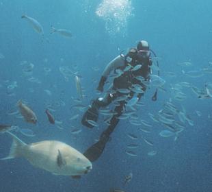 Blick aus dem U-Boot