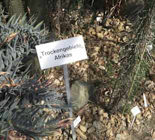 Botanischer Garten