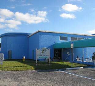 Clearwater Marine Aquarium