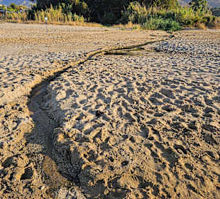 Kleine Flüsse und Bäche überqueren den Strand