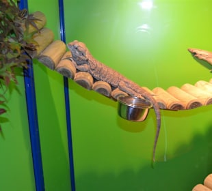 Aquarium/Terrarium Umag