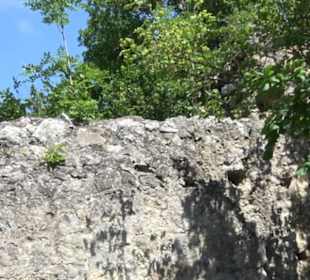 Burgruine Niederhaus