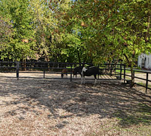 Zoo