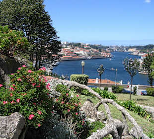 Pohled na řeku Douro