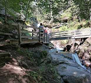 Wandern Hohen Bogen Neukirchen