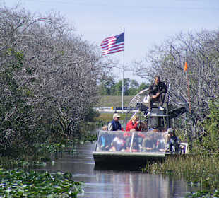 Miami Landgang Everglades