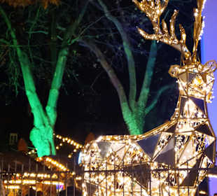 Weihnachtsmarkt Speyer