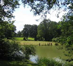 Der See, die Bäume, der Park.