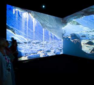 Lawinendom in den Nationalparkwelten