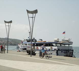 Koper
