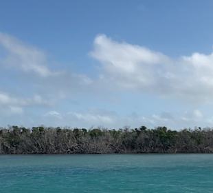 Kleine Insel