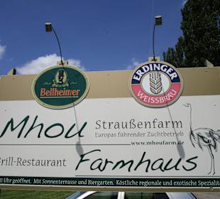 Straußenfarm Mhou Rülzheim