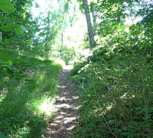 Ruine Hohenmelchingen