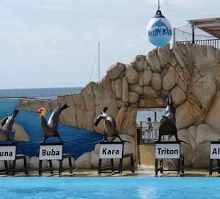 Marineland