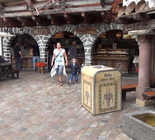 Themenbereich Schweiz