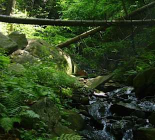 "Wasserfall" am Waalweg