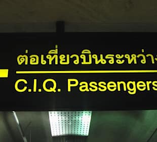 CIQ Passagiere - Thai Airways