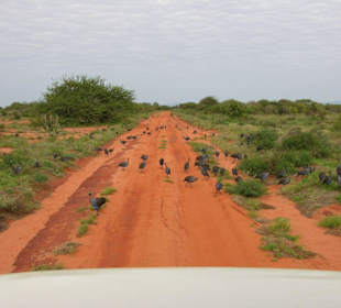 Macht die Straße frei!