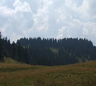 Parcul Natural Apuseni