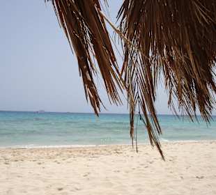 Mahmya Inseln ! Mega!