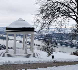 Wandern Rüdesheim am Rhein