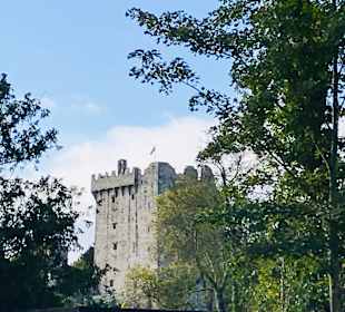 Blarney Castle