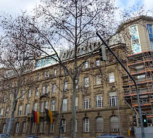 Altstadt Mannheim Quadratstadt