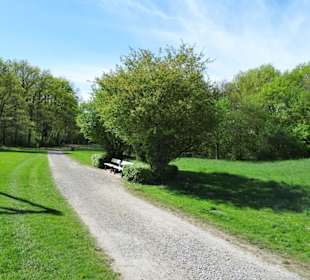 Spaziergang durch den Walter-Peters-Park