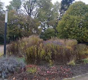 Parkanlage Planten un Blomen