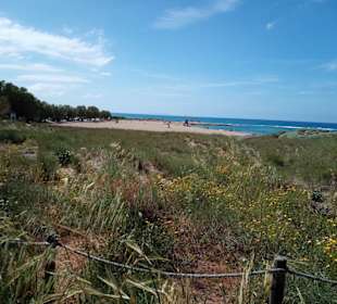 Strand Potamos in Malia