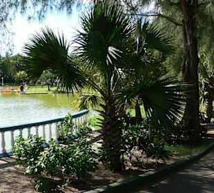 Parque Retiro Josone