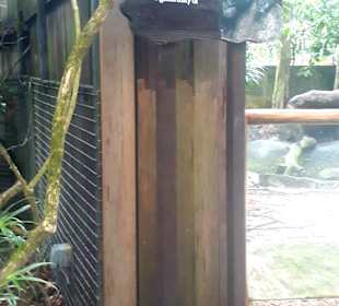Singapur Zoo