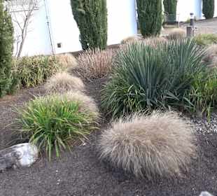 Katholische Kirchengemeinde