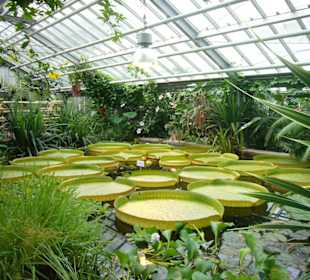 Botanischer Garten Potsdam