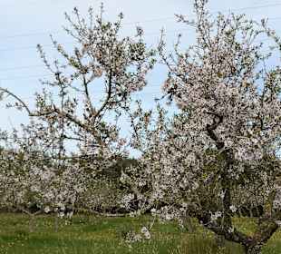 Wandern Cala Ratjada