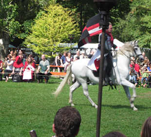 Mittelalterliches Spectaculum 