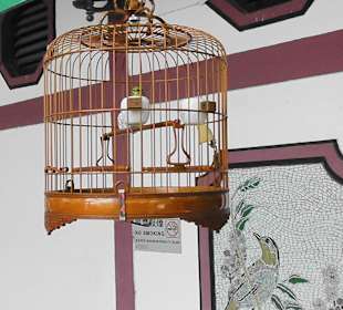 Tolle Farben und Melodien