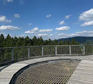 Waldwipfelweg St Englmar