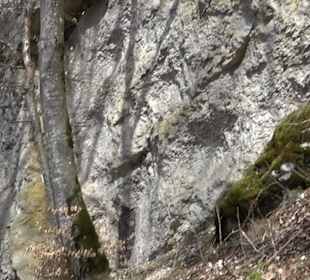 Fürstlicher Park Inzigkofen