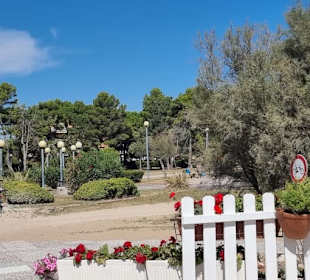 Zugang zum Container