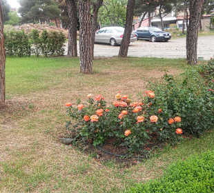 Stare miasto Tbilisi