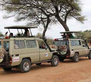 Visit Tanzania with the best company Gosheni 