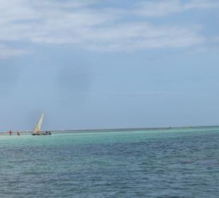 Ausflug Glasbodenboot Diani Beach