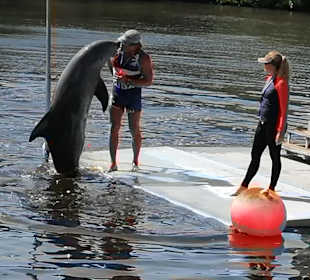 Delfinarium Varadero