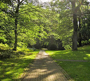 Кладбище Ольсдорф, Гамбург, 16 сентября 2013 года