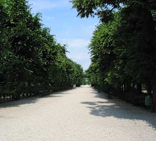 Wien Schönbrunn