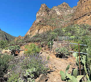 Inselrundfahrt Gran Canaria