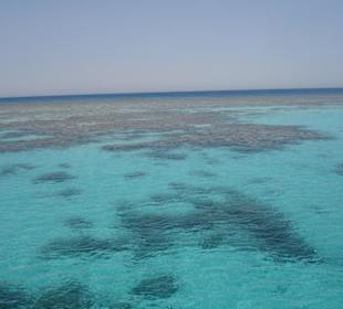 Den ganzen Tag herrliche Einblicke in die Natur!